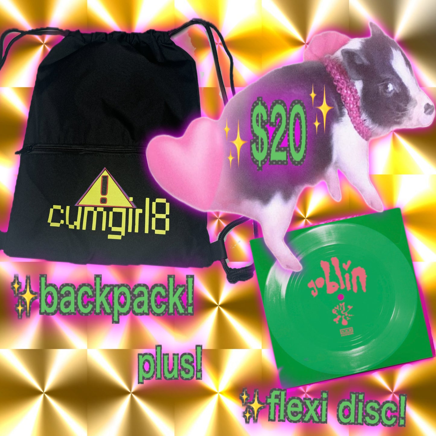 backpack + flexi disc!