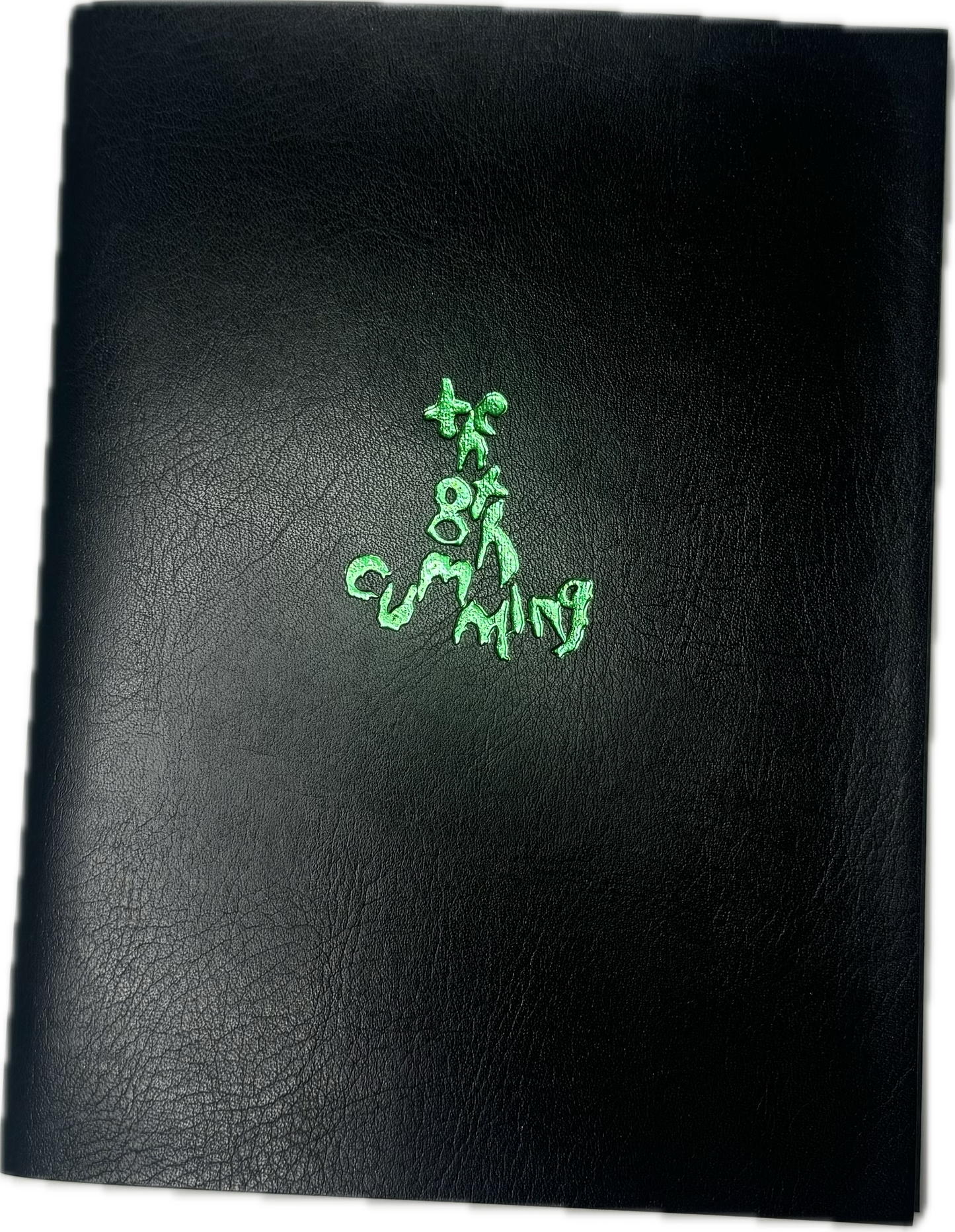 the 8th cumming bible
