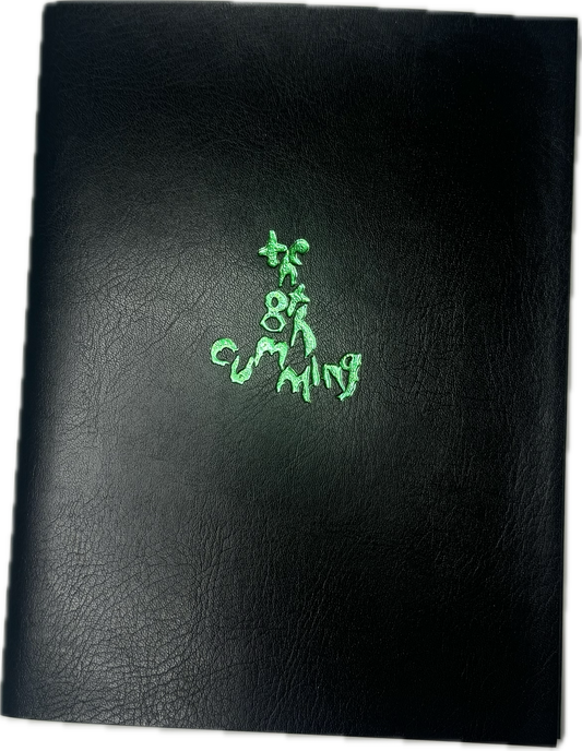 the 8th cumming bible